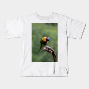 Upside Down Lorikeet Kids T-Shirt